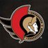 NHL Ottawa Senators Distressed Surface Book 2 13.5in Skin